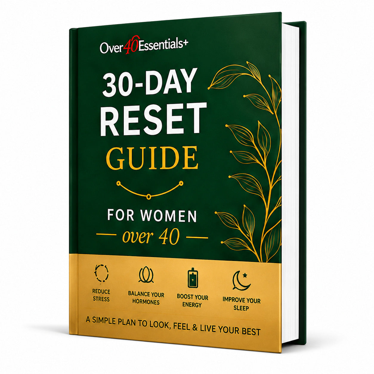 30-Days-Reset